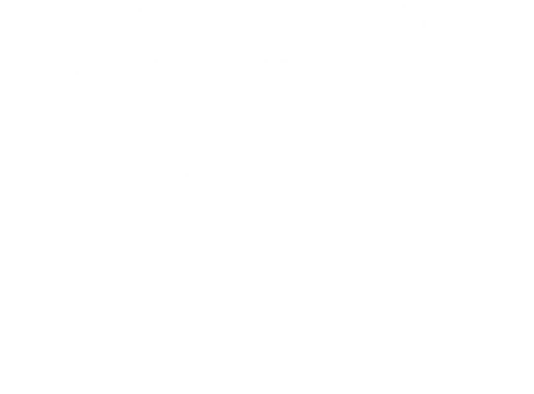 Montreal Independent Film Festival