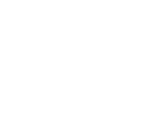 Venice Shorts